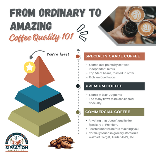 From Ordinary to Amazing: Understanding Coffee Quality